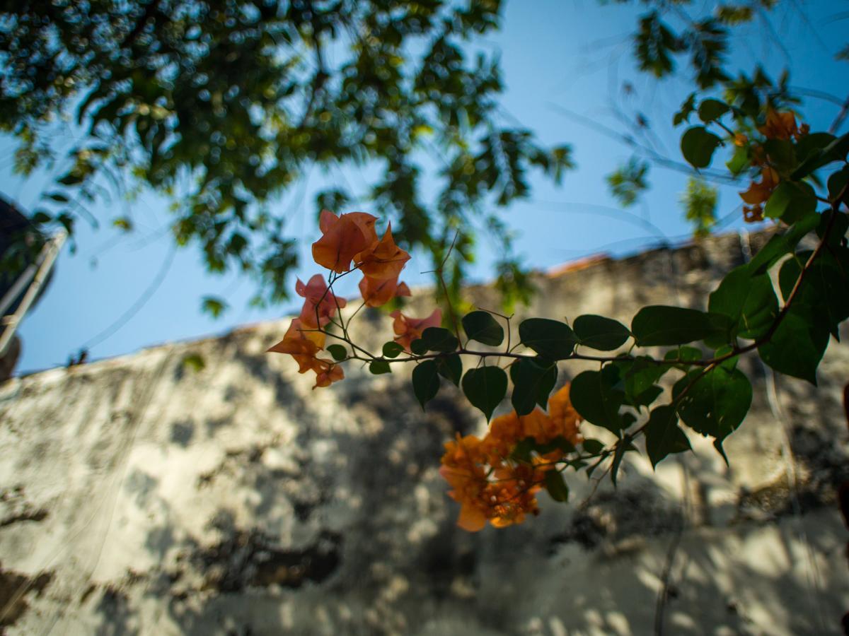 Pueblito Magico Hostel - Mompox Exterior foto